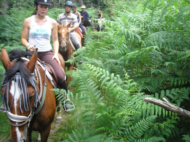 Nella natura 